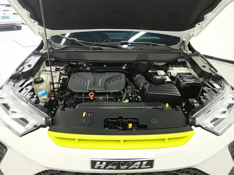 Haval H6S 2022 immagine di auto #11