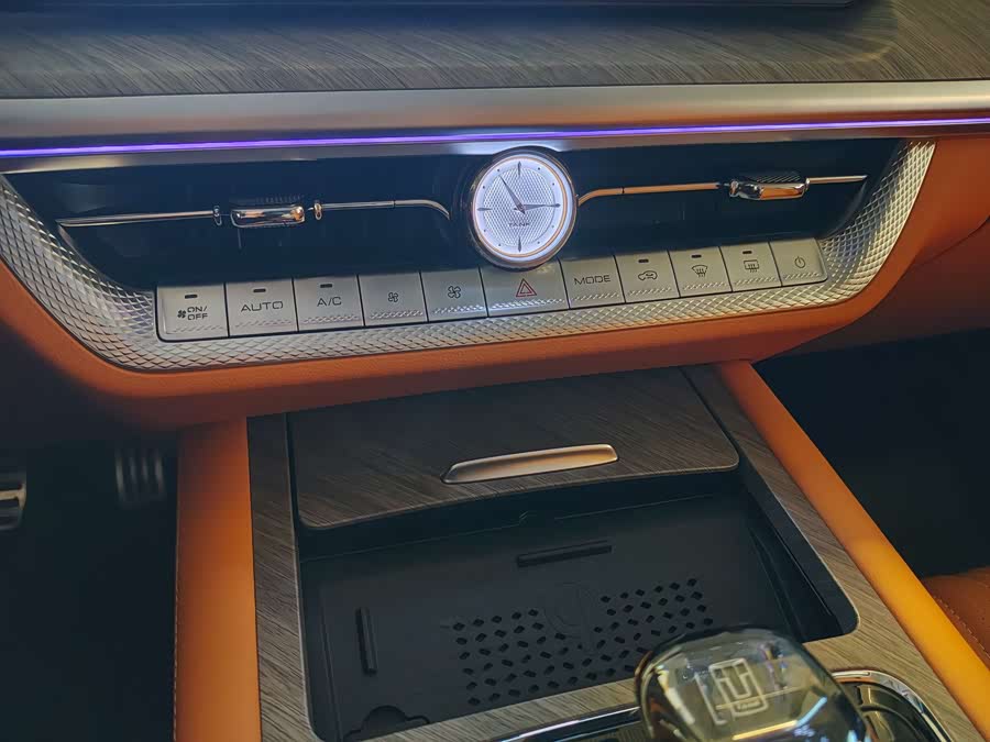 Tank 500 New Energy 2024 immagine di auto #11