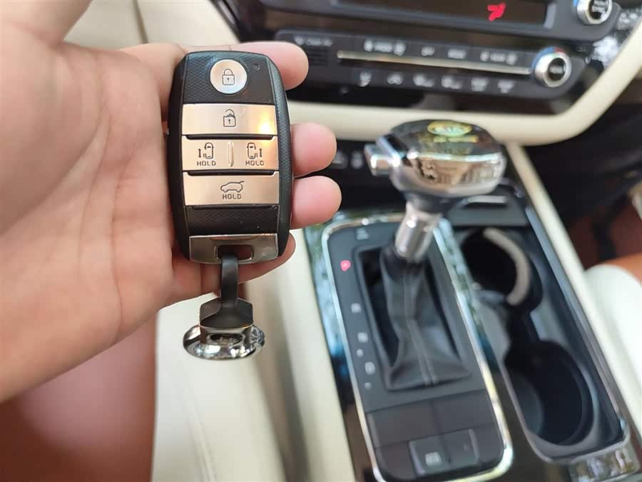 Kia Carnival (Imported) 2016 car image #11