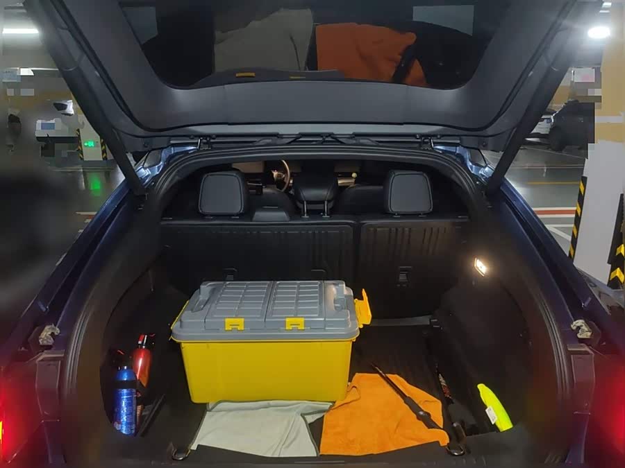 Ford Mustang Mach-E 2022 car image #11