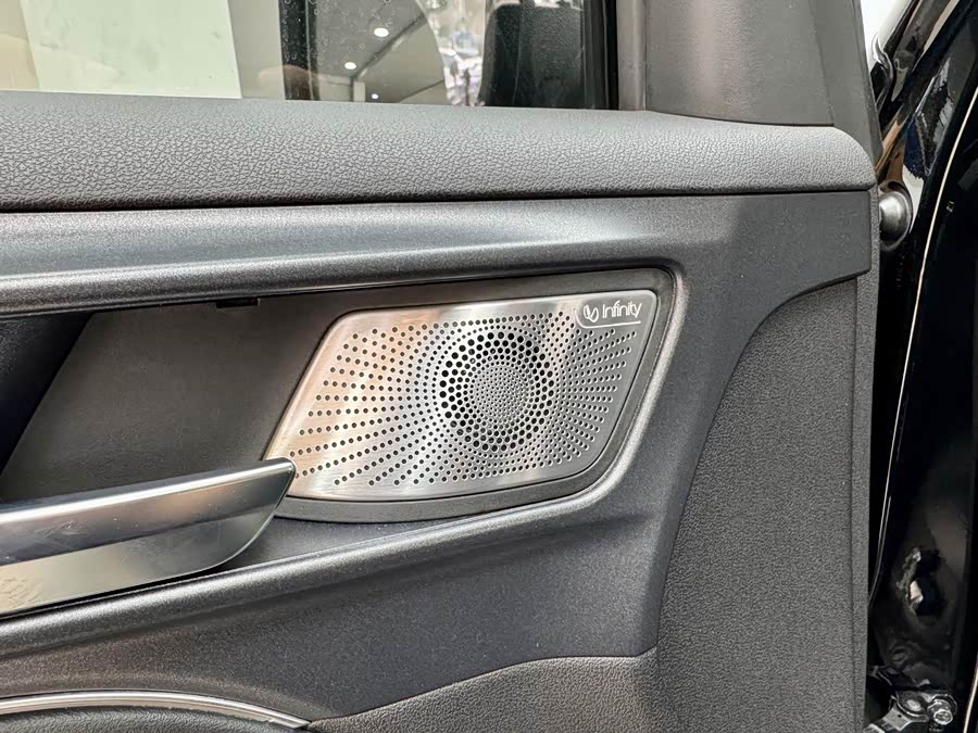 Tank 500 New Energy 2024 immagine di auto #11