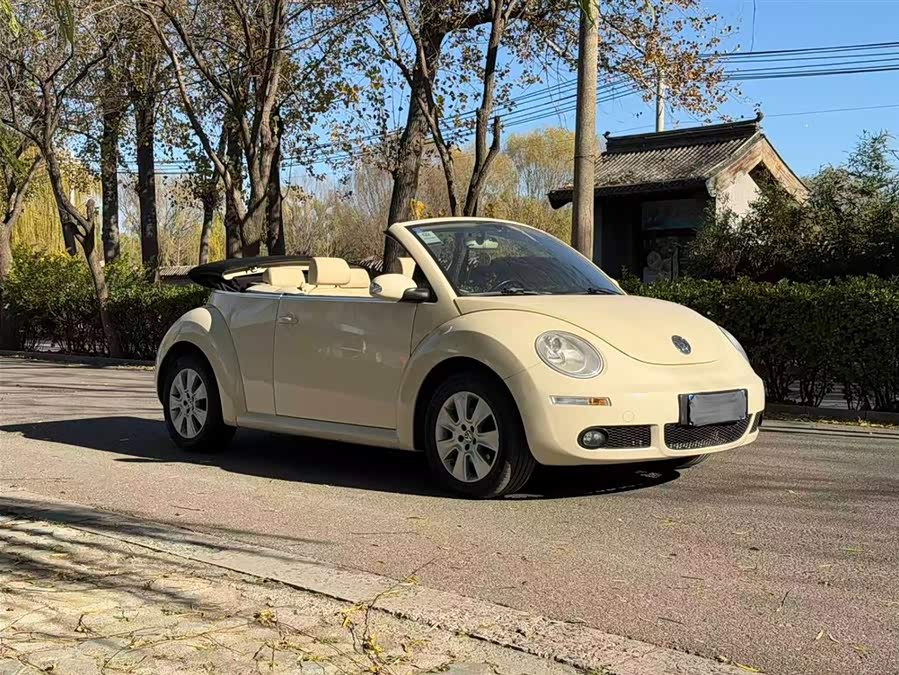 Volkswagen Beetle 2010 immagine di auto #11