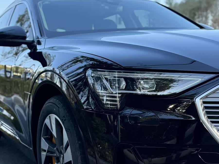 Audi e-tron (Imported) 2022 car image #11