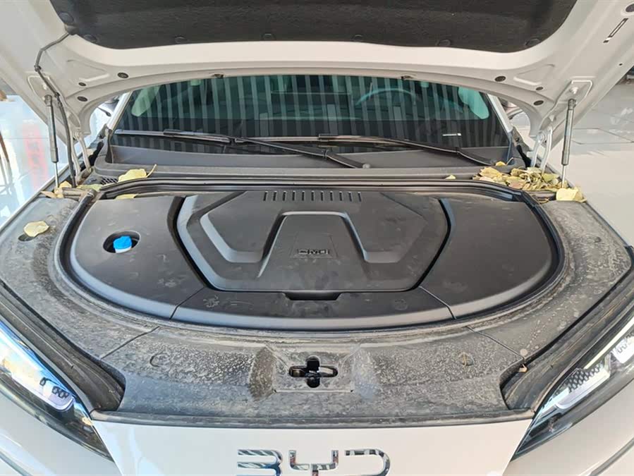 BYD Sea Lion 06 New Energy 2025 car image #11