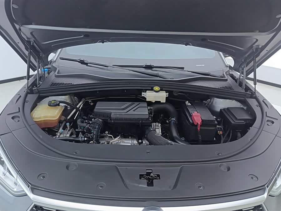 BYD Song Plus 2022 #11 BYD Song Plus 2022 immagine di auto #11