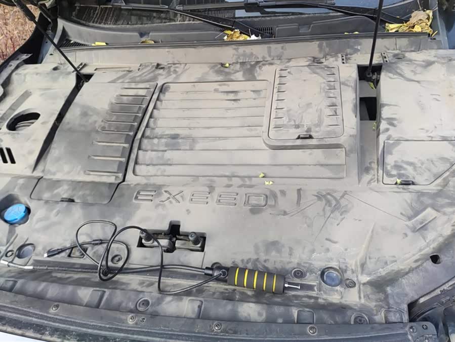 Exceed Chasing Wind 2021 #11 Exceed Chasing Wind 2021 car image #11