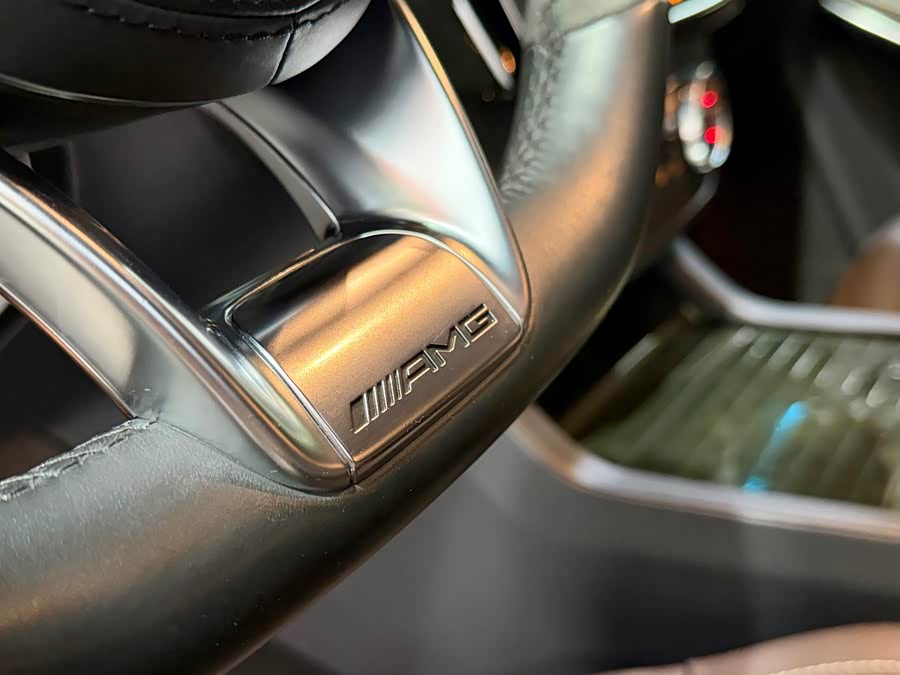 Mercedes-Benz GLS AMG 2019 car image #11