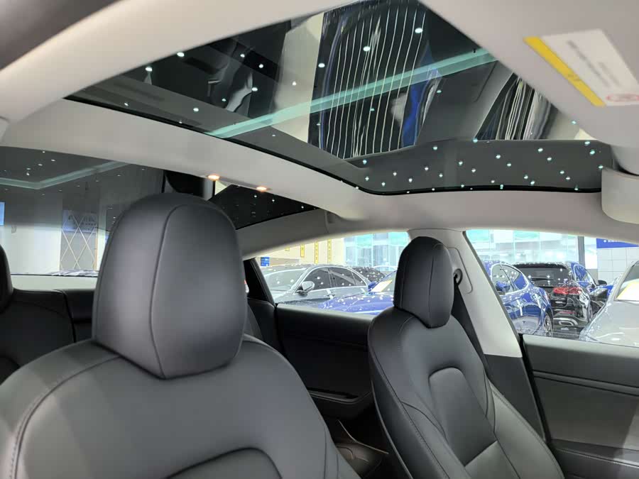 Tesla Model 3 2020 car image #11