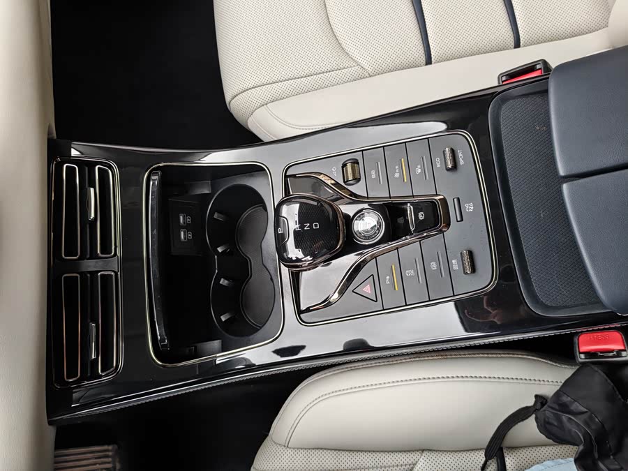 BYD e9 2021 #11 BYD e9 2021 car image #11