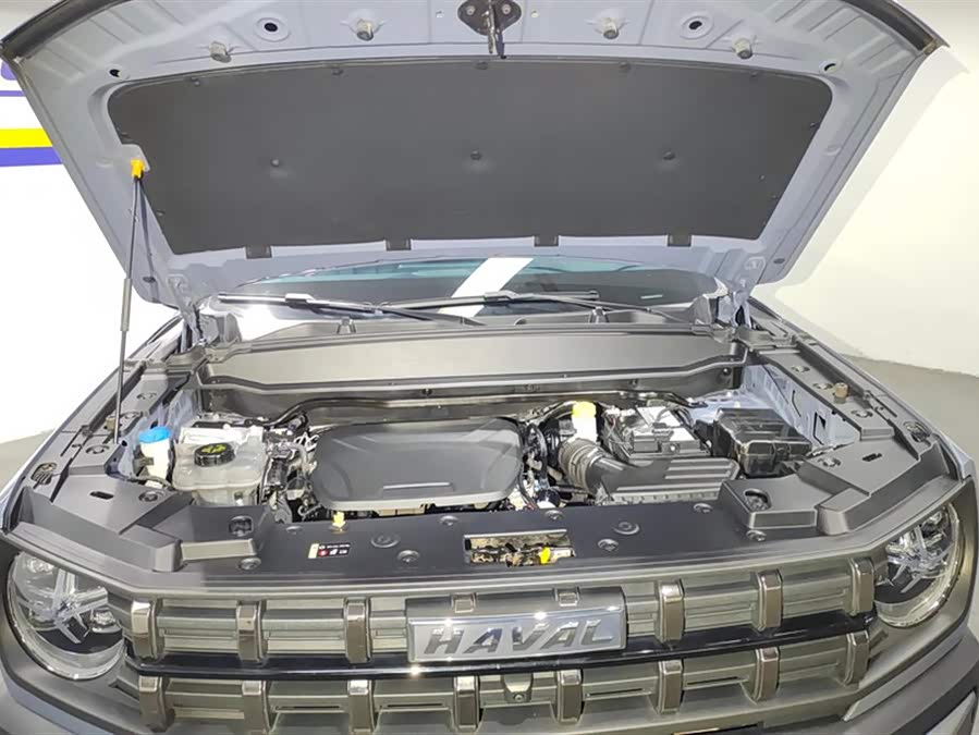 Haval Dargo 2023 car image #11