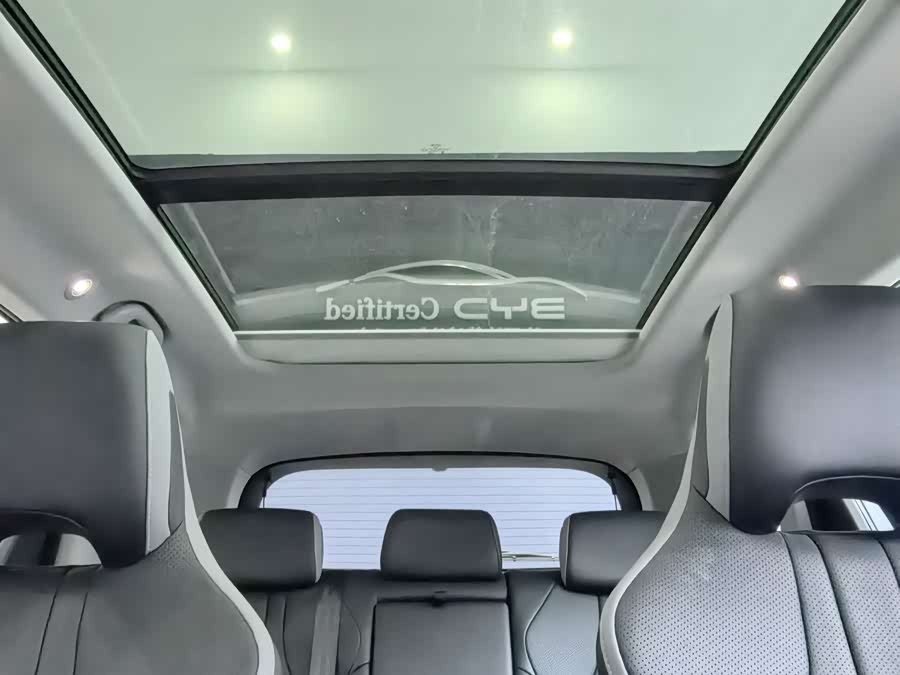 BYD Sea Lion 05 DM-i 2025 car image #11