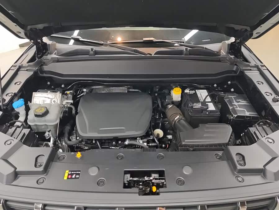 Haval Dargo 2023 car image #11