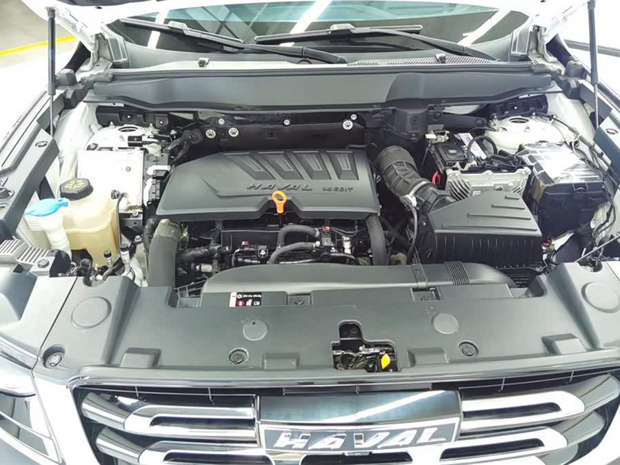 Haval X Dog / Dargo 2021 #11 Haval X Dog / Dargo 2021 car image #11