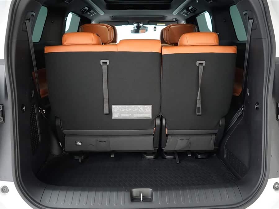 GAC Trumpchi E9 2024 imagem de carro #11