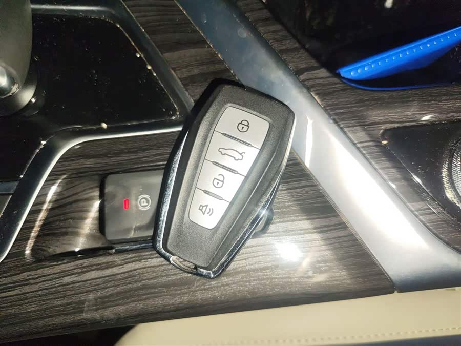 睿蓝汽车 枫叶80v PRO 2023 汽车图片 #11