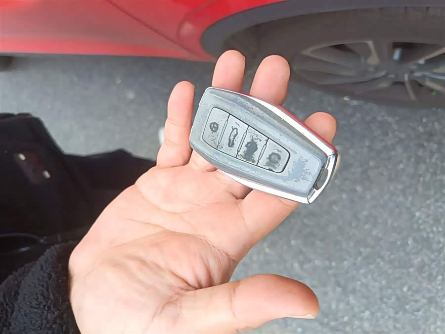 GEELY Coolray New Energy 2019 car image #11