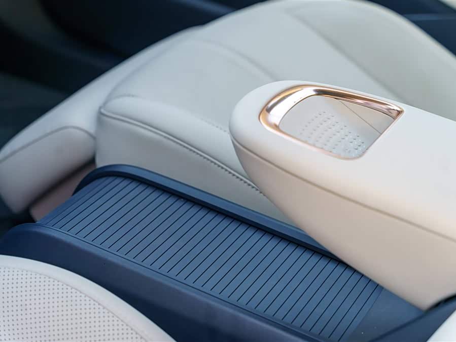 极氪 极氪X 2024 汽车图片 #11