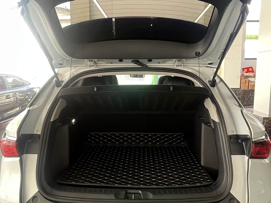 BYD Yuan Plus 2022 car image #11