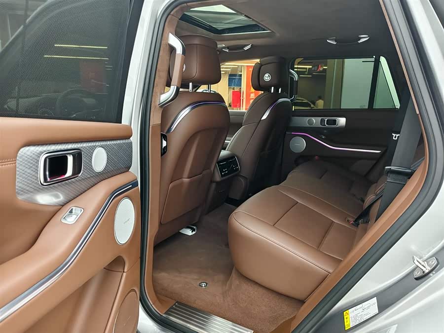 Tank 700 New Energy 2024 #11 Tank 700 New Energy 2024 immagine di auto #11