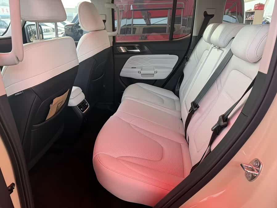 Tank 300 New Energy 2025 car image #11