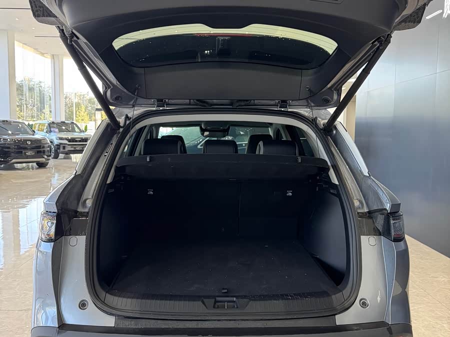 BYD Sea Lion 05 DM-i 2025 car image #11