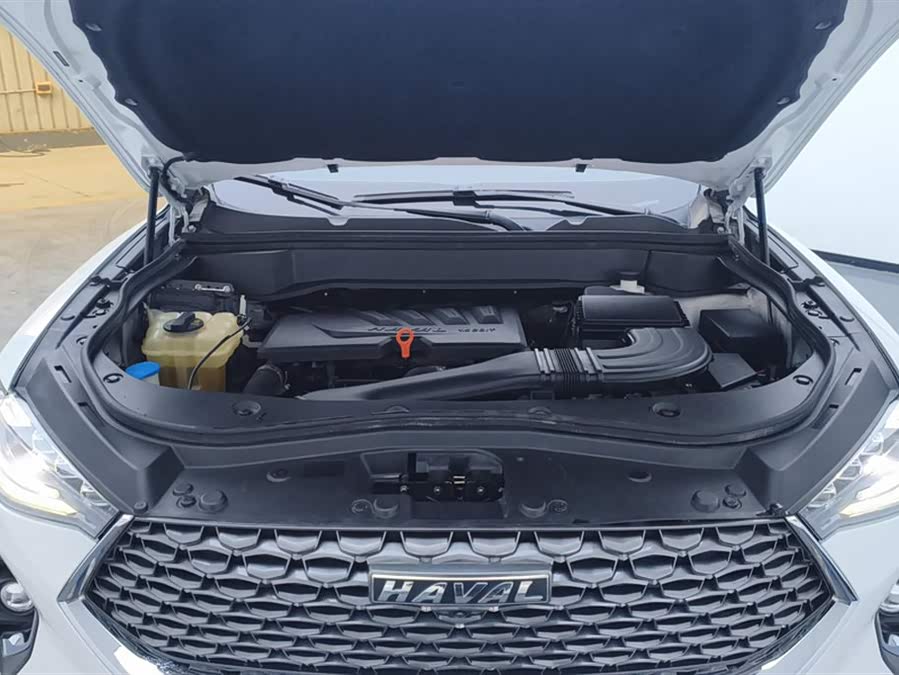 Haval F7 2020 image de voiture #11