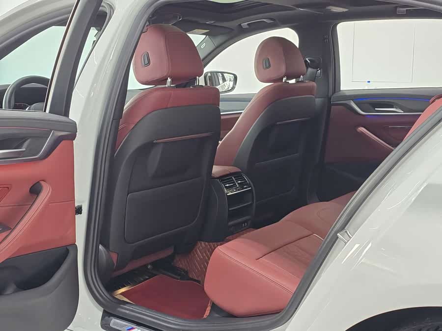 BMW 5 Series 2021 car image #11