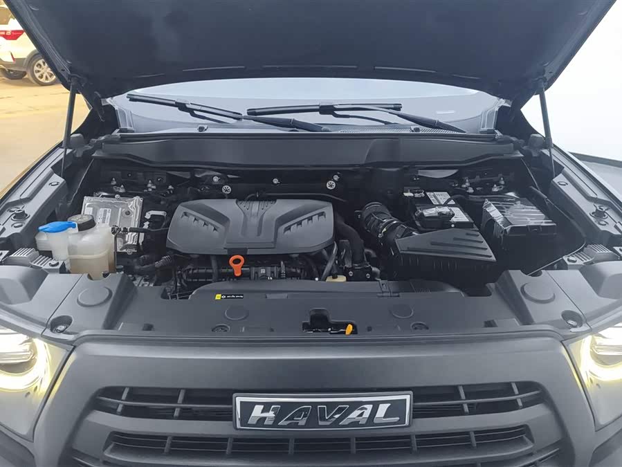 Haval X Dog / Dargo 2022 car image #11