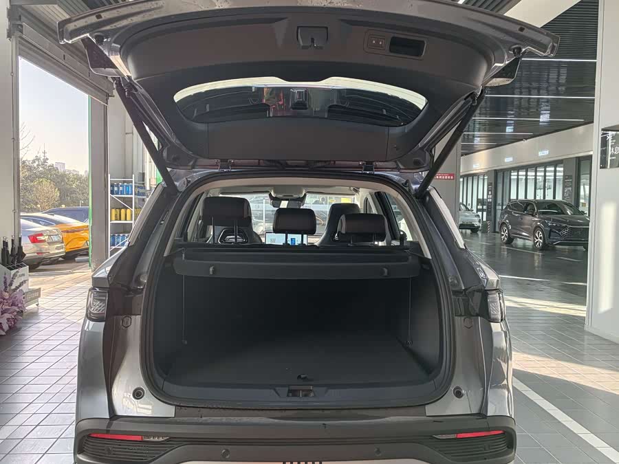 BYD Sea Lion 05 DM-i 2025 car image #11