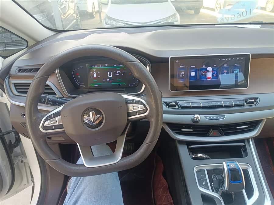 睿蓝汽车 枫叶80v 2021 汽车图片 #11