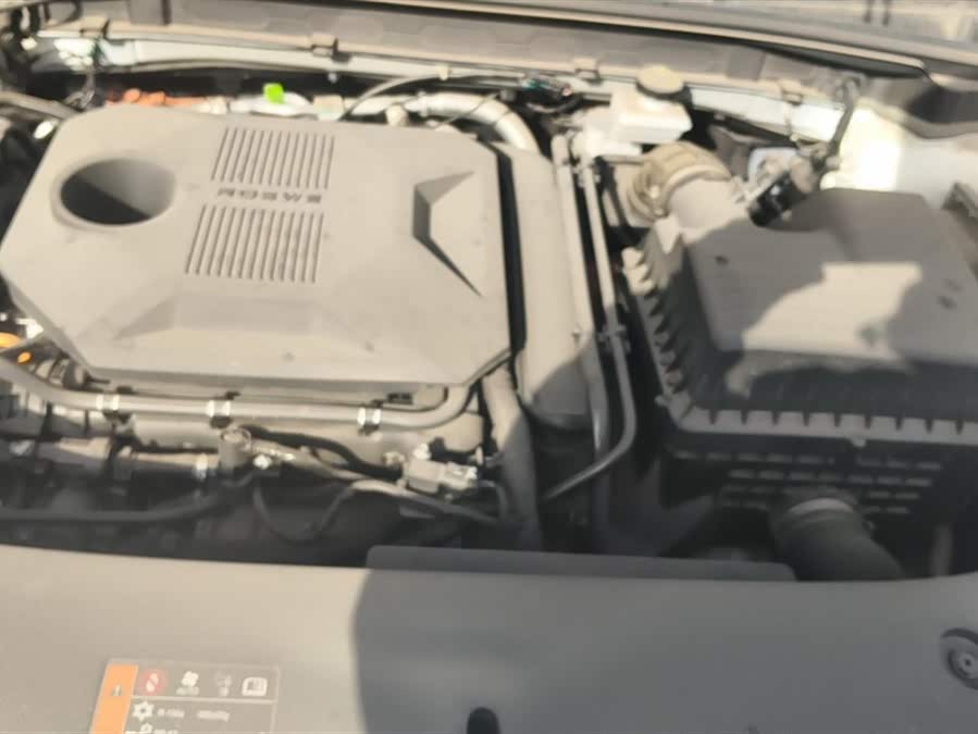 Roewe D5X DMH 2024 imagen de coche #11