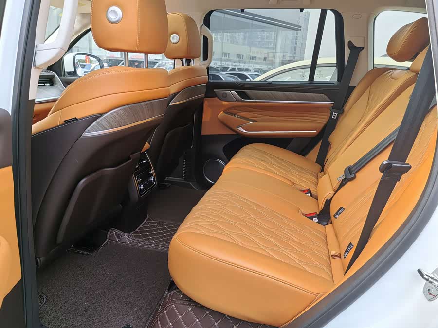 Tank 500 New Energy 2024 immagine di auto #11