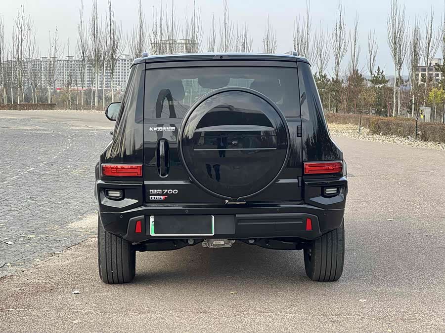 Tank 700 New Energy 2025 immagine di auto #11