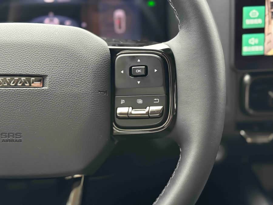 Haval Raptor New Energy 2024 car image #11