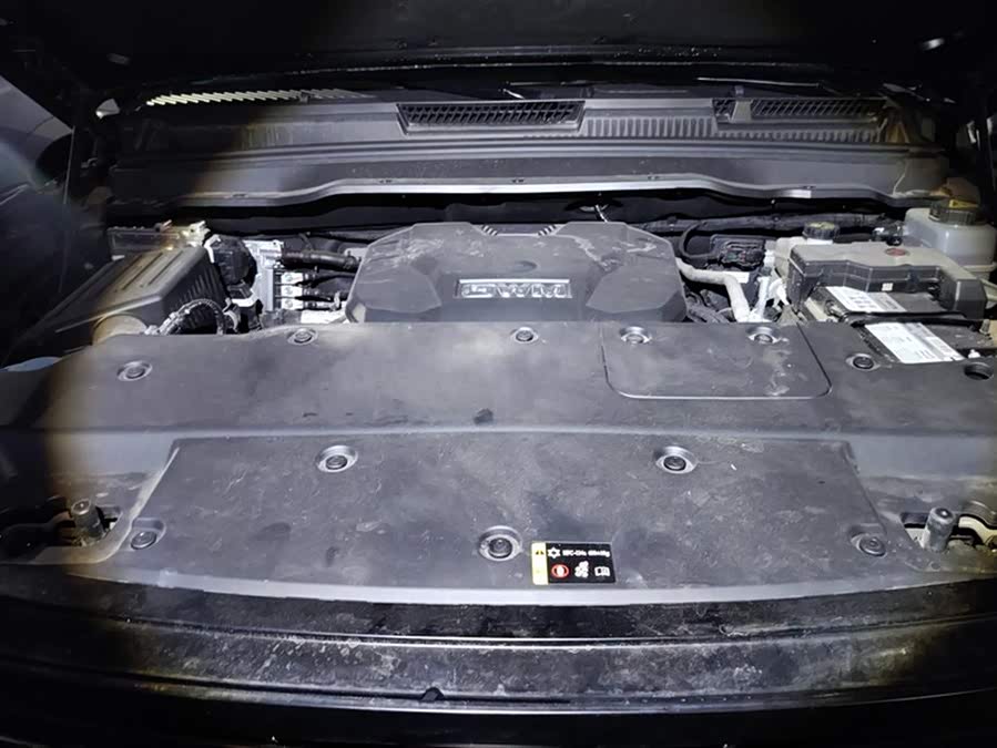 Tank 400 2024 #11 Tank 400 2024 imagen de coche #11