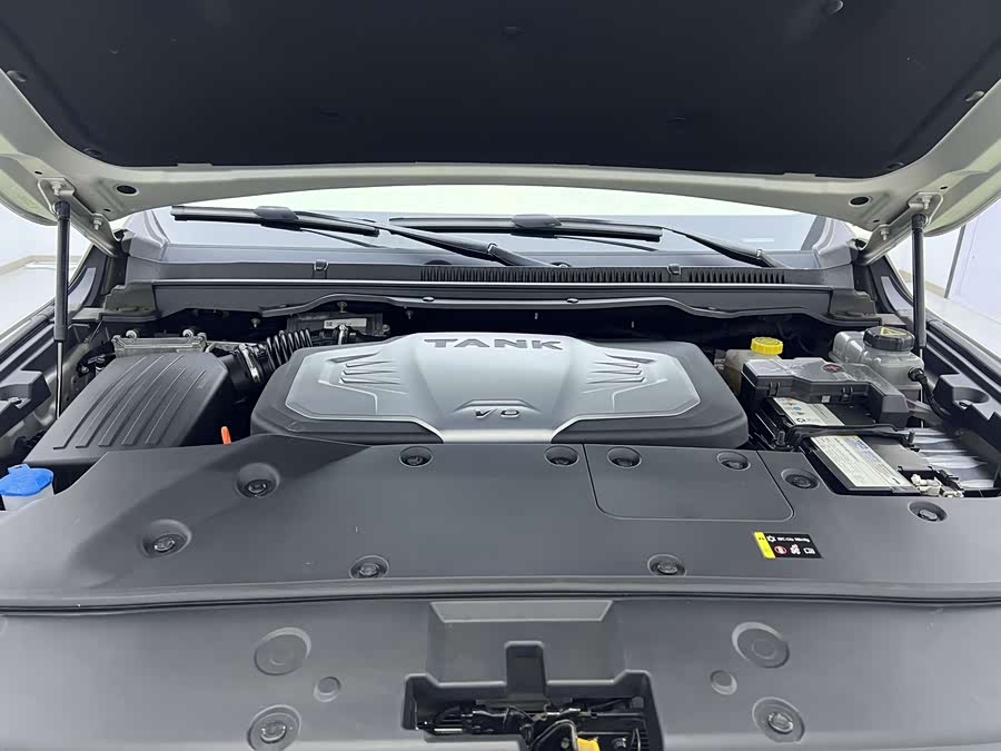 坦克 坦克500 2022 汽车图片 #11