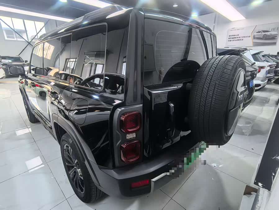 Haval Raptor New Energy 2023 car image #11