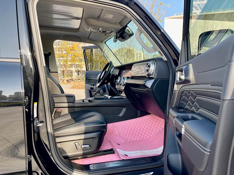 Tank 300 2023 car image #11