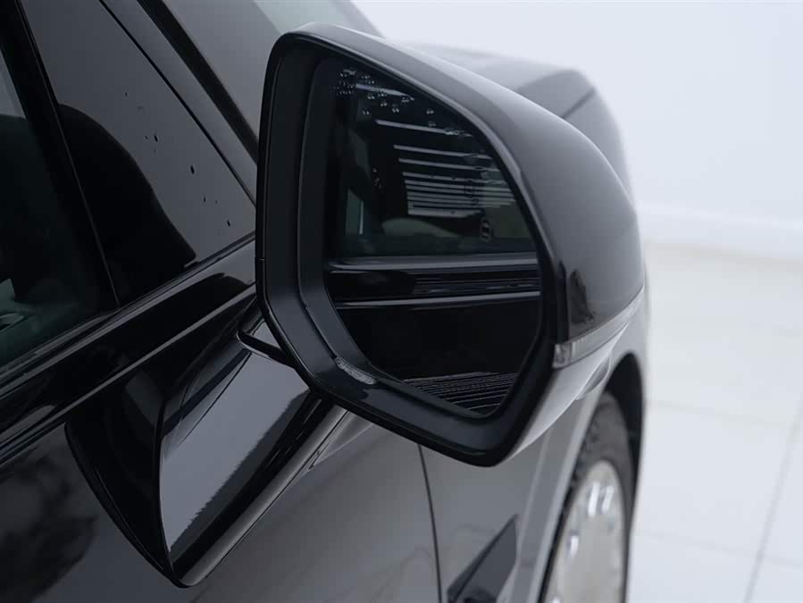 极氪 极氪009 2024 汽车图片 #11