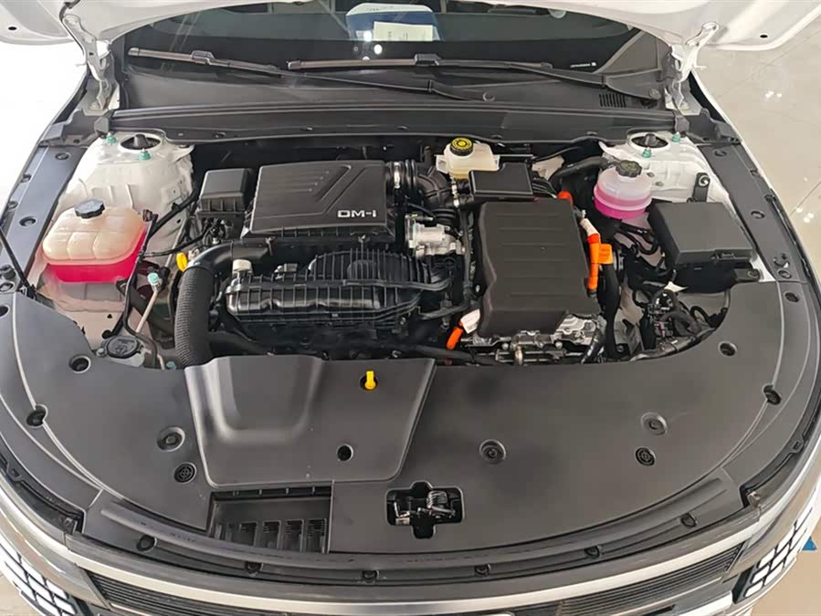 BYD Destroyer 05 2025 car image #11