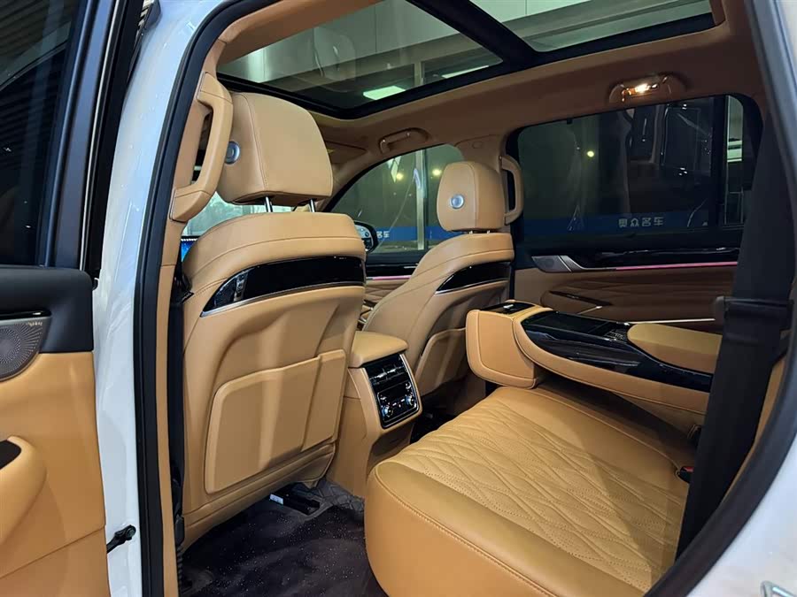 Tank 500 New Energy 2023 car image #11