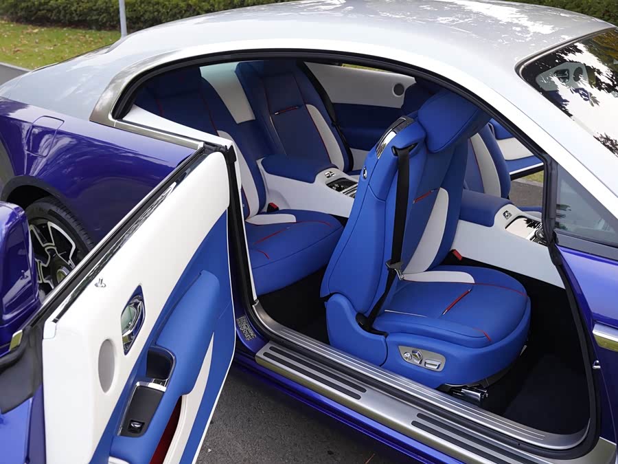Denza Wraith 2018 car image #11