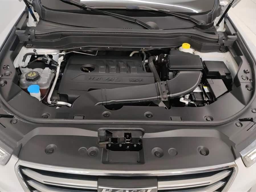 Haval H6 2021 car image #11