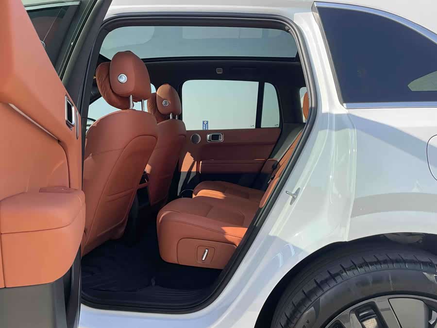 Li L6 2024 صورة سيارة #11