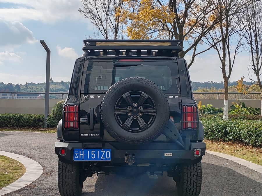 Tank 300 2021 car image #11