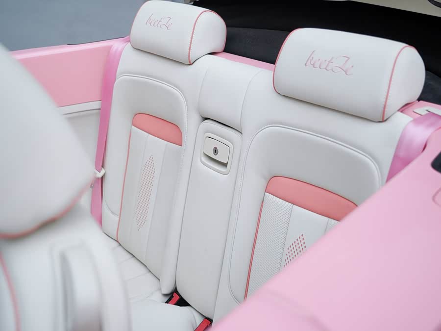 大众 甲壳虫 2010 汽车图片 #11