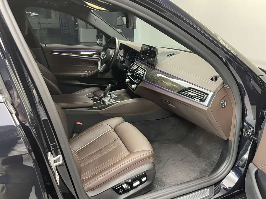 BMW 5 Series New Energy 2021 car image #11