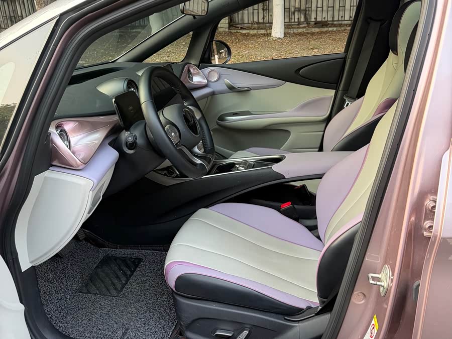 BYD Dolphin 2022 car image #11