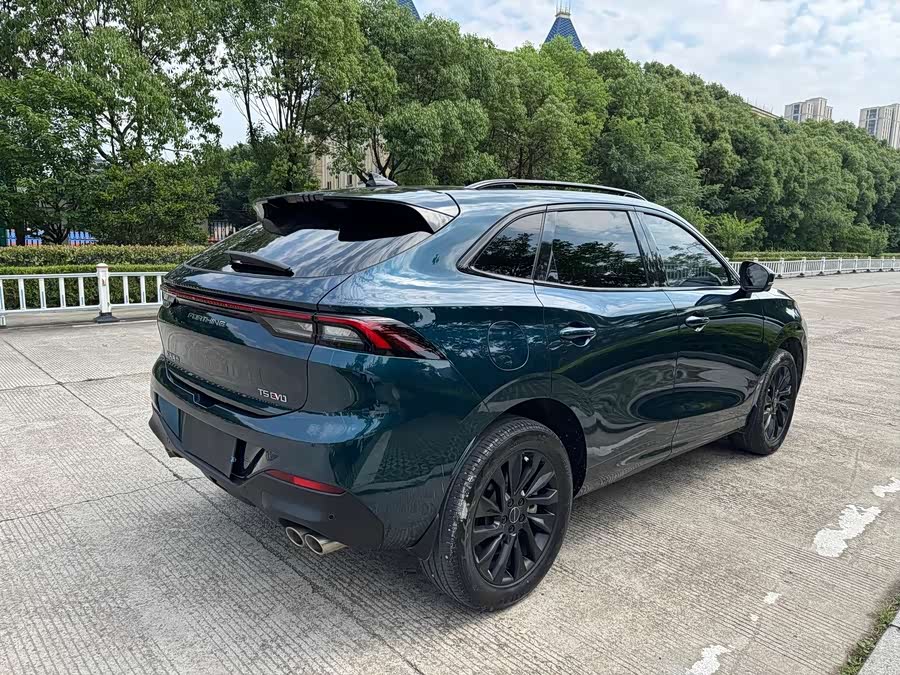 Forthing T5 EVO 2021 car image #11