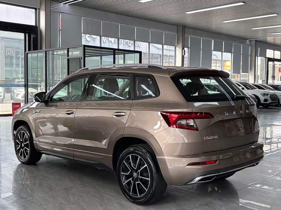 Skoda Karoq 2022 car image #11